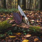 Fixed blade Damascus knife crown stag close-up