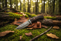 Knife with wooden handle and leather sheath
