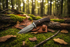 Knife with wooden handle and leather sheath