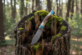Decorative knife with a staghorn handle o