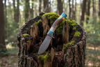Decorative knife with a staghorn handle o